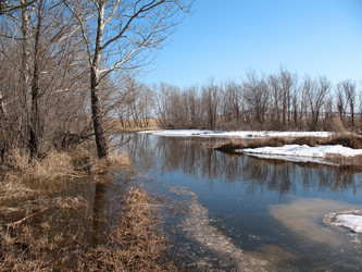 Similar image 650831