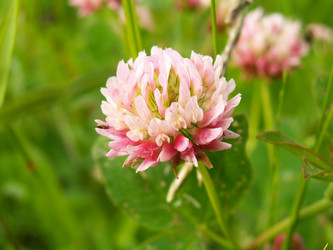 Similar image 650840