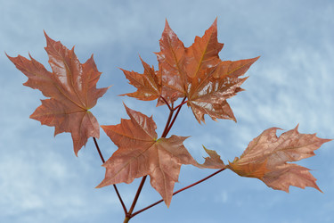 Similar image 650841