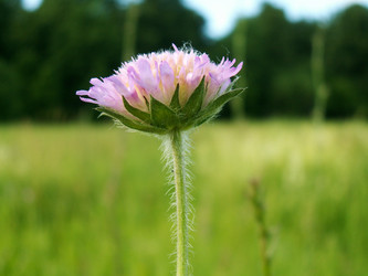 Similar image 650842