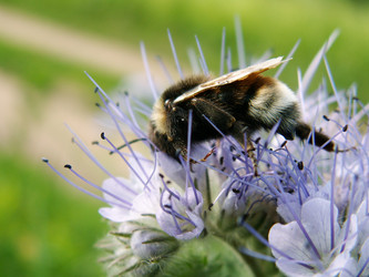 Similar image 650860