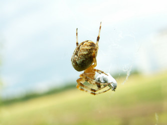 Similar image 650861