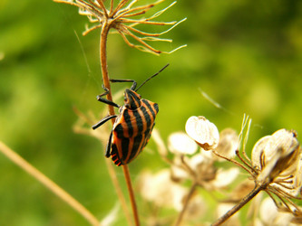 Similar image 650863