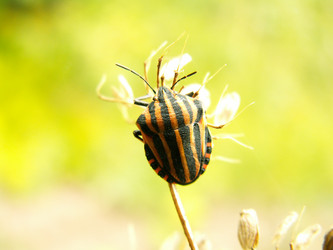 Similar image 650864