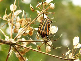 Similar image 650865