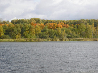 Similar image 650866