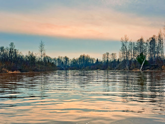 Similar image 650873