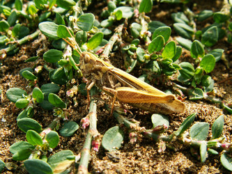 Similar image 650875