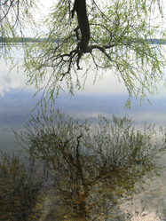 Similar image 650876