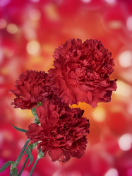 Similar image 650877