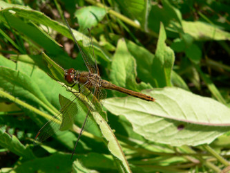 Similar image 650878