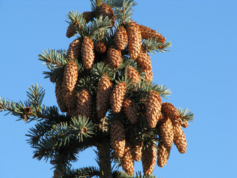 Similar image 650880