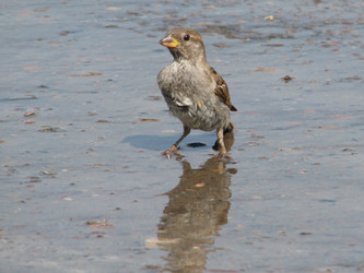 Similar image 650889