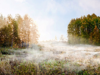 Similar image 650907