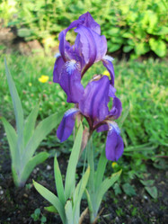 Similar image 650916