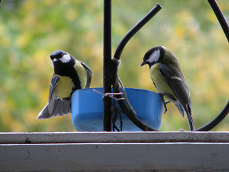 Similar image 650944