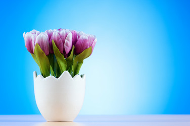 Similar image 650972