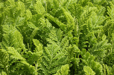 Similar image 651019