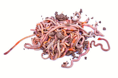 Similar image 651158