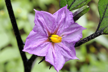 Similar image 651161