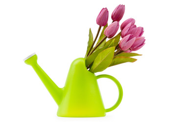 Similar image 651163