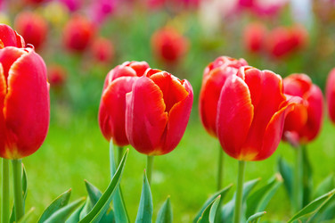 Similar image 651187