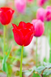 Similar image 651188