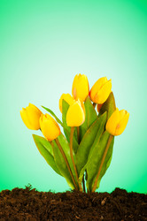 Similar image 651190