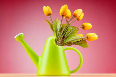 Similar image 651197