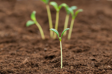 Similar image 651254