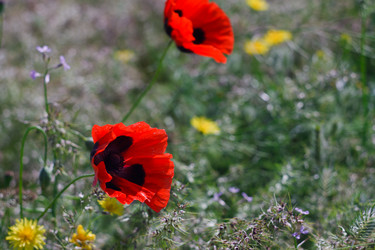 Similar image 651322