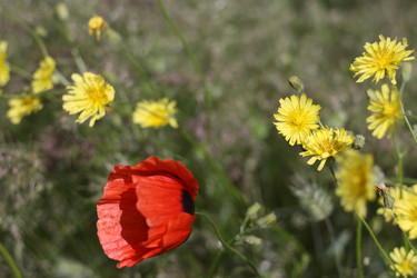 Similar image 651323