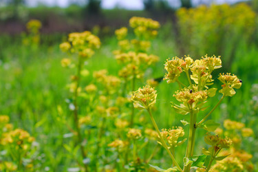 Similar image 651324