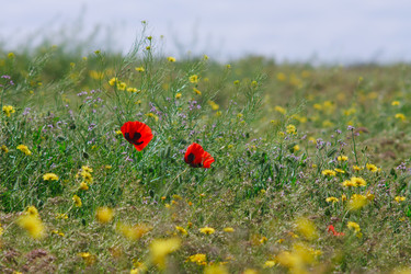 Similar image 651326