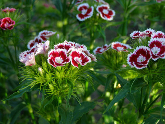 Similar image 651334