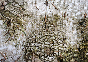 Similar image 651361