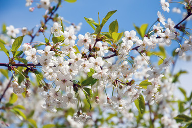 Similar image 651374