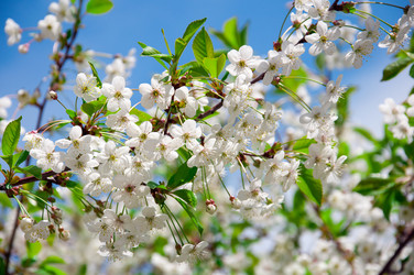 Similar image 651375