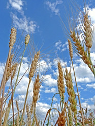 Similar image 651379