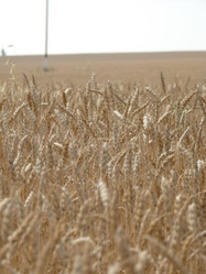 Similar image 651382