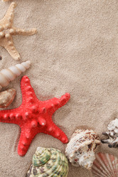 Similar image 651386