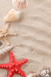 Similar image 651412