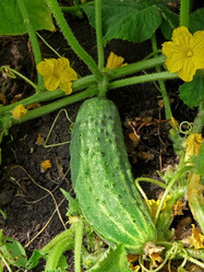 Similar image 651421