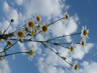 Similar image 651423