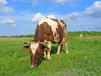 Similar image 651428