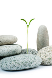 Similar image 651455