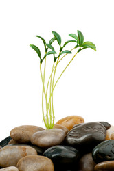 Similar image 651458