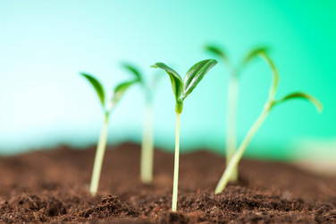 Similar image 651497