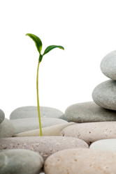 Similar image 651499