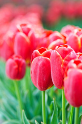 Similar image 651516